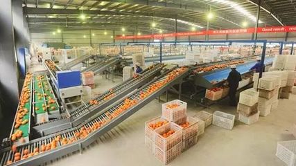 2019年初級農(nóng)產(chǎn)品加工可申報補貼項目梳理